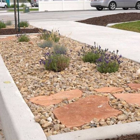 waterwise park strip with rock and plants