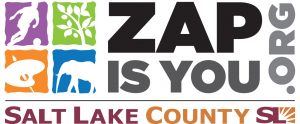 ZAP is You logo